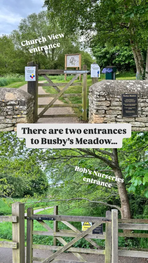 There are two entrances to Busby medow one from Rob's Nurseries Lane and on from Church View